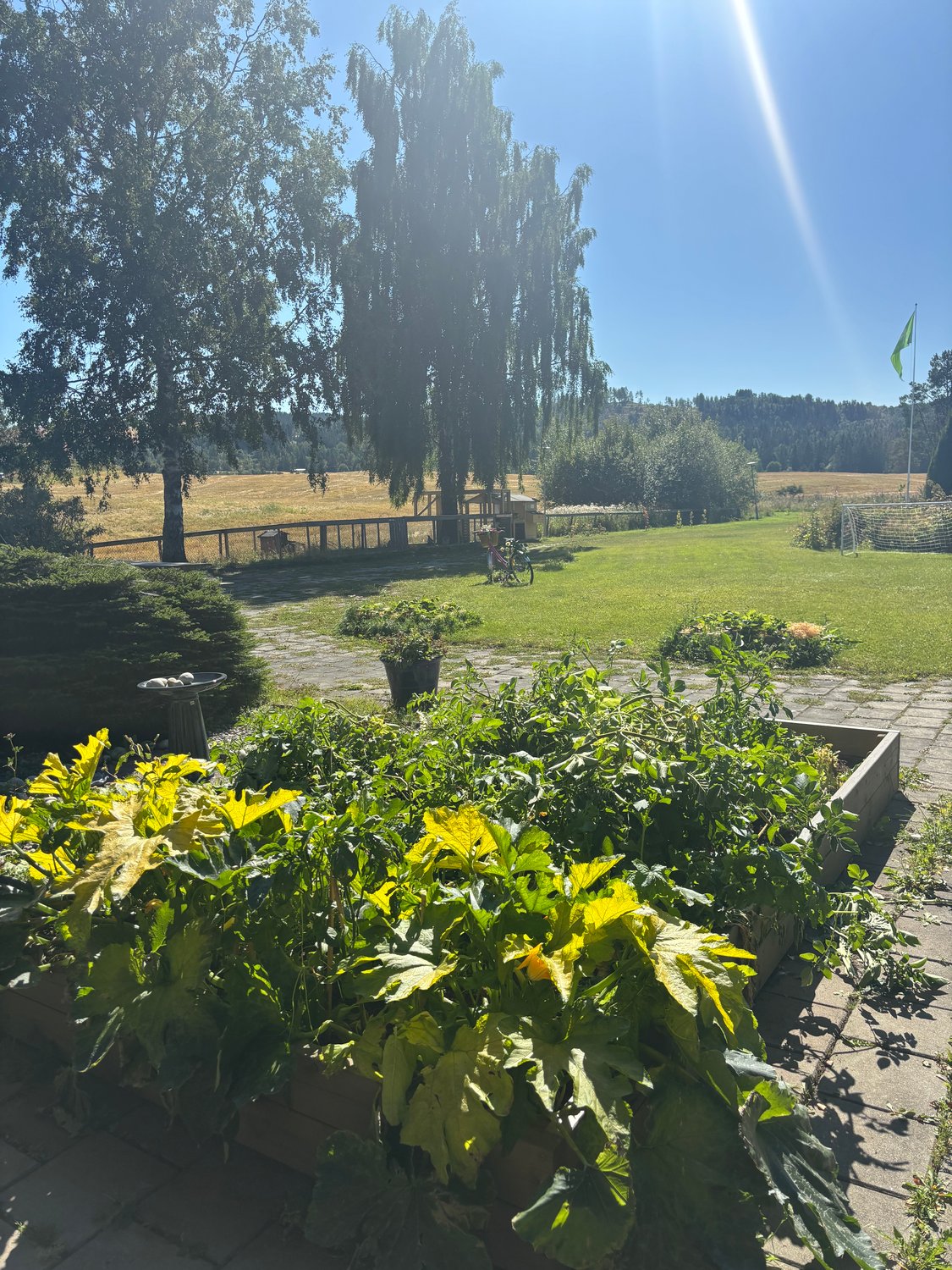 Hagen2 Villa Skaar Lunner