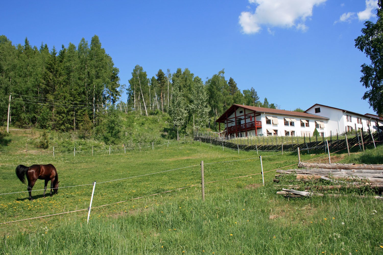 Villa Skaar Jevnaker landskap
