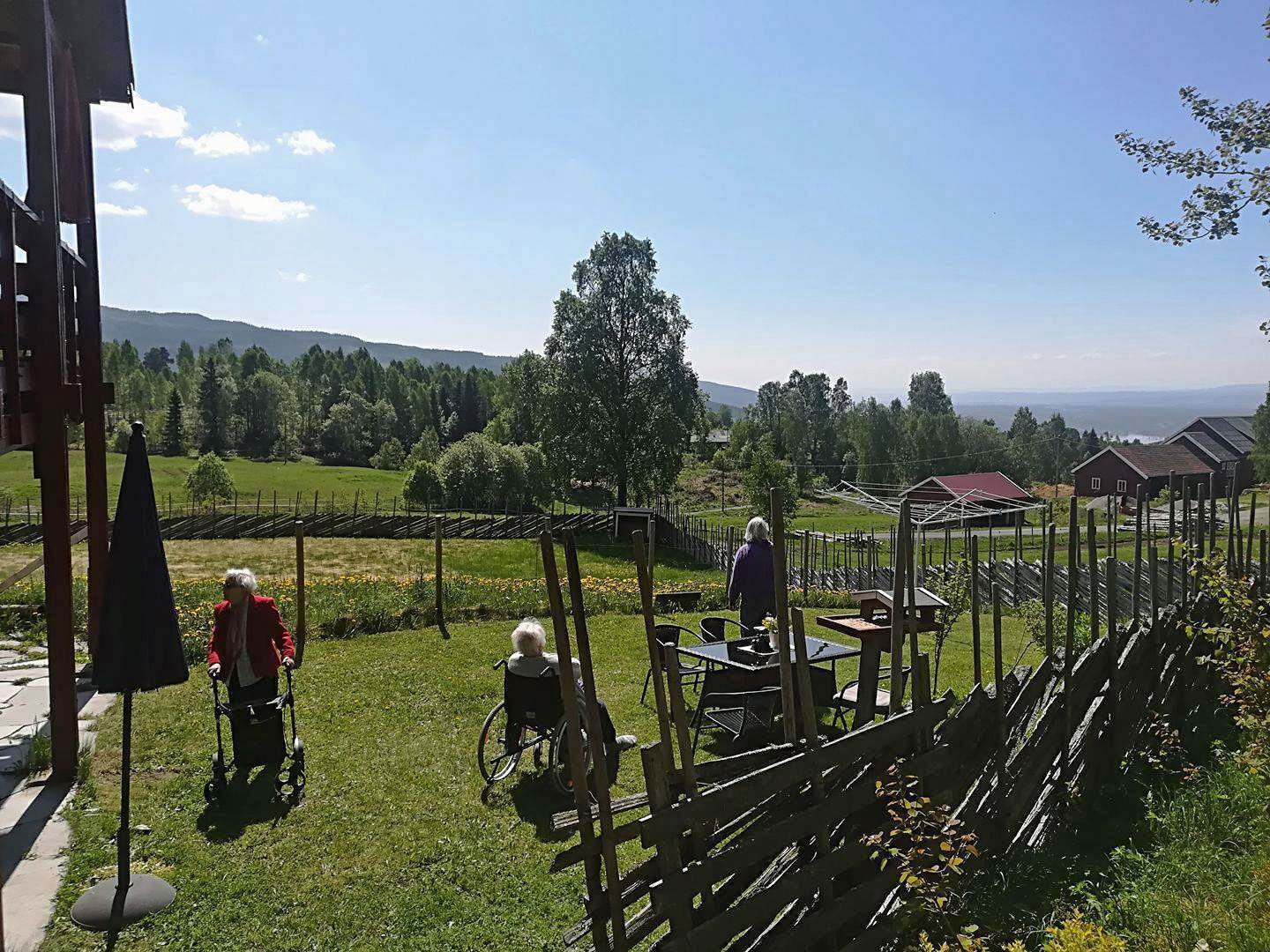 Villa Skaar Jevnaker hage